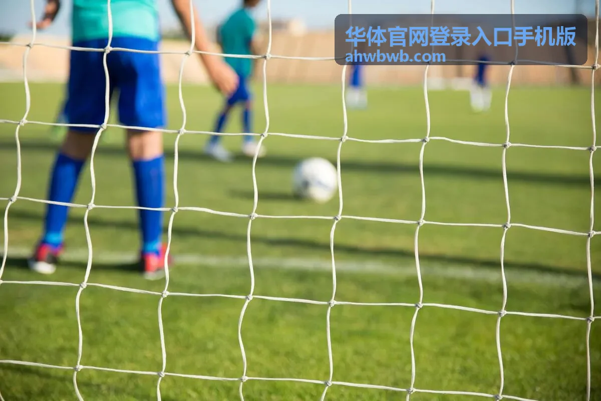 使用华体官网登录入口手机版时核对手机浏览器与网络环境